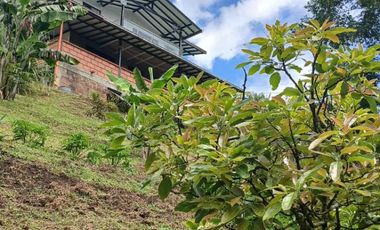 FINCA FAVORABLE EN GIRARDOTA ANTIOQUIA COLOMBIA.