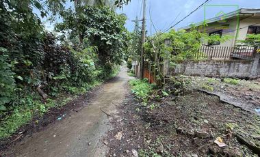 LOT FOR SALE IN BUHO AMADEO, CAVITE