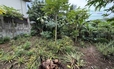 LOT FOR SALE IN BUHO AMADEO, CAVITE