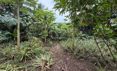 LOT FOR SALE IN BUHO AMADEO, CAVITE