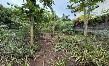 LOT FOR SALE IN BUHO AMADEO, CAVITE