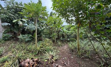 LOT FOR SALE IN BUHO AMADEO, CAVITE