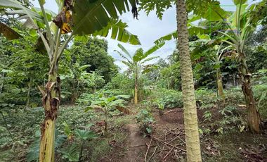 LOT FOR SALE IN BUHO AMADEO, CAVITE
