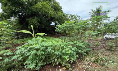 LOT FOR SALE IN BUHO AMADEO, CAVITE