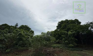 LOT FOR SALE IN BUHO AMADEO, CAVITE