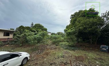 LOT FOR SALE IN BUHO AMADEO, CAVITE