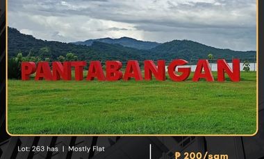 For Sale Agricultural Lot located at Pantabangan, Nueva Ecija