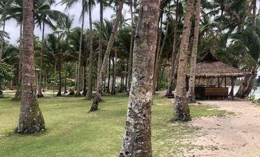 Siargao Beach with House  for Sale