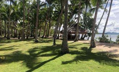 Siargao Beach with House  for Sale
