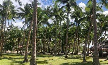 Siargao Beach with House  for Sale