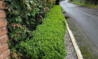 NR Casa/cabaña amueblada en Renta en Valle de Bravo, Avandaro