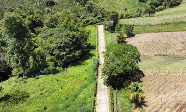 VENDO HERMOSA FINCA EN FUSAGASUGA