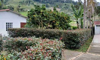 VENDO HERMOSA FINCA EN FUSAGASUGA