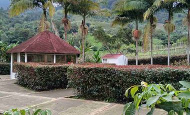 VENDO HERMOSA FINCA EN FUSAGASUGA