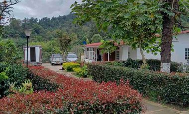 VENDO HERMOSA FINCA EN FUSAGASUGA