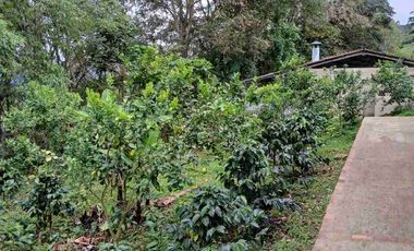 VENDO HERMOSA FINCA EN FUSAGASUGA