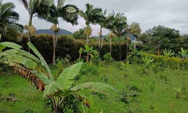 VENDO HERMOSA FINCA EN FUSAGASUGA