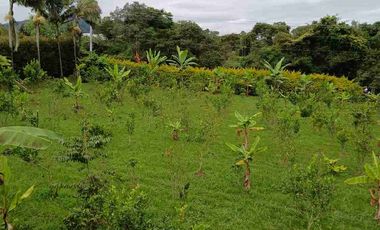 VENDO HERMOSA FINCA EN FUSAGASUGA