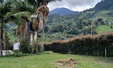 VENDO HERMOSA FINCA EN FUSAGASUGA