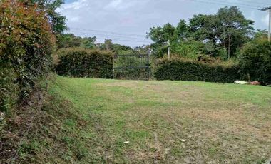 VENDO HERMOSA FINCA EN FUSAGASUGA