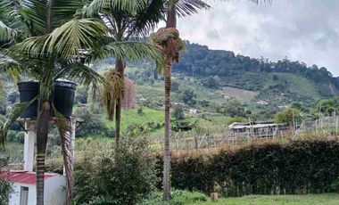 VENDO HERMOSA FINCA EN FUSAGASUGA