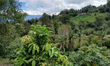 VENDO HERMOSA FINCA EN FUSAGASUGA