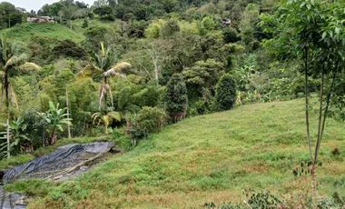 VENDO HERMOSA FINCA EN FUSAGASUGA