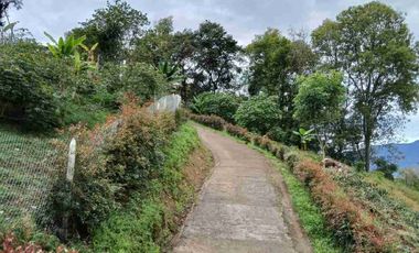VENDO HERMOSA FINCA EN FUSAGASUGA