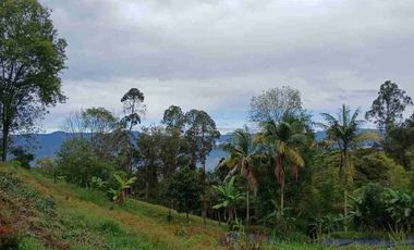 VENDO HERMOSA FINCA EN FUSAGASUGA