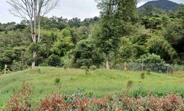 VENDO HERMOSA FINCA EN FUSAGASUGA