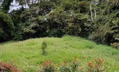 VENDO HERMOSA FINCA EN FUSAGASUGA