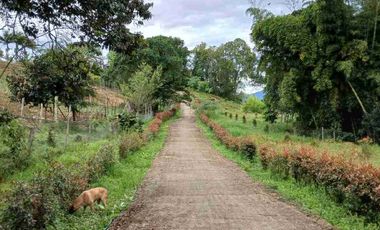 VENDO HERMOSA FINCA EN FUSAGASUGA
