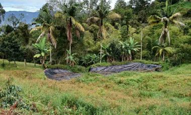 VENDO HERMOSA FINCA EN FUSAGASUGA