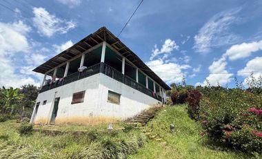 Se vende finca productiva en Buenavista Quindío cultivada en naranja y banano