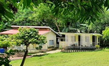 Rooms in peaceful farm setting in southern Cebu for rent