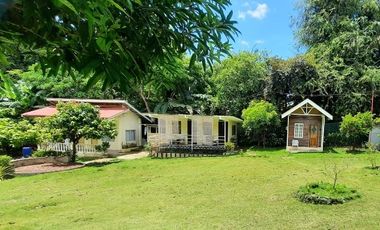 Rooms in peaceful farm setting in southern Cebu for rent