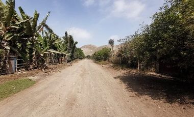 En Venta Extenso Terreno de 6,403 m2 en San Antonio -Cañete