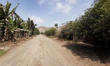 En Venta Extenso Terreno de 6,403 m2 en San Antonio -Cañete