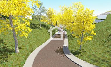 Lote Campestre en Venta en Vía Arenillas – La Victoria, El Oro