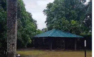 FINCA EN VENTA VIA PUERTO LOPEZ APIAY