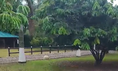 FINCA EN VENTA VIA PUERTO LOPEZ APIAY