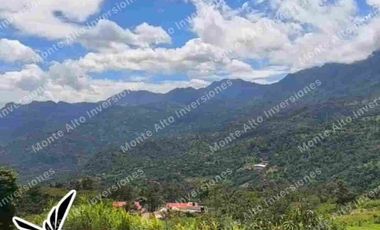 Casalote 900 m² + casa 144 m² – listo para negocio en zona de alta demanda