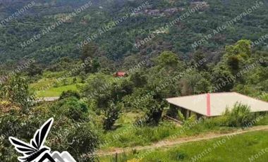 Casalote 900 m² + casa 144 m² – listo para negocio en zona de alta demanda