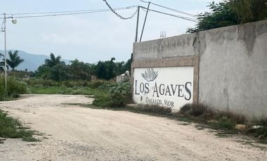 VENTA DE TERRENO BARDADO DE 420 M2 EN SAN CARLOS, YAUTEPEC.