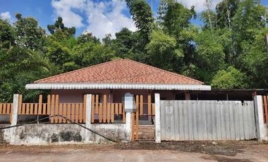 A1-0170 ขายบ้านเดี่ยว : ตำบลเมืองใหม่ อำเภอศรีบุญเรือง หนองบัวลำภู (โปรโมชั่นภายใน 31 ธ.ค 2567)