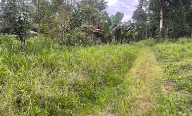 Terreno de 1200 m2 en Puerto Quito.