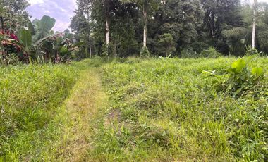 Terreno de 1200 m2 en Puerto Quito.