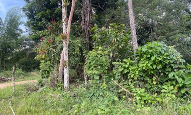 Terreno de 1200 m2 en Puerto Quito.