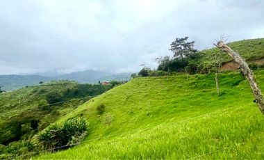 Venta de Finca en Córdoba, Quindío – Ideal para Proyecto Turístico o Glamping