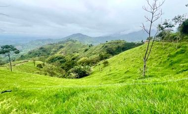 Venta de Finca en Córdoba, Quindío – Ideal para Proyecto Turístico o Glamping
